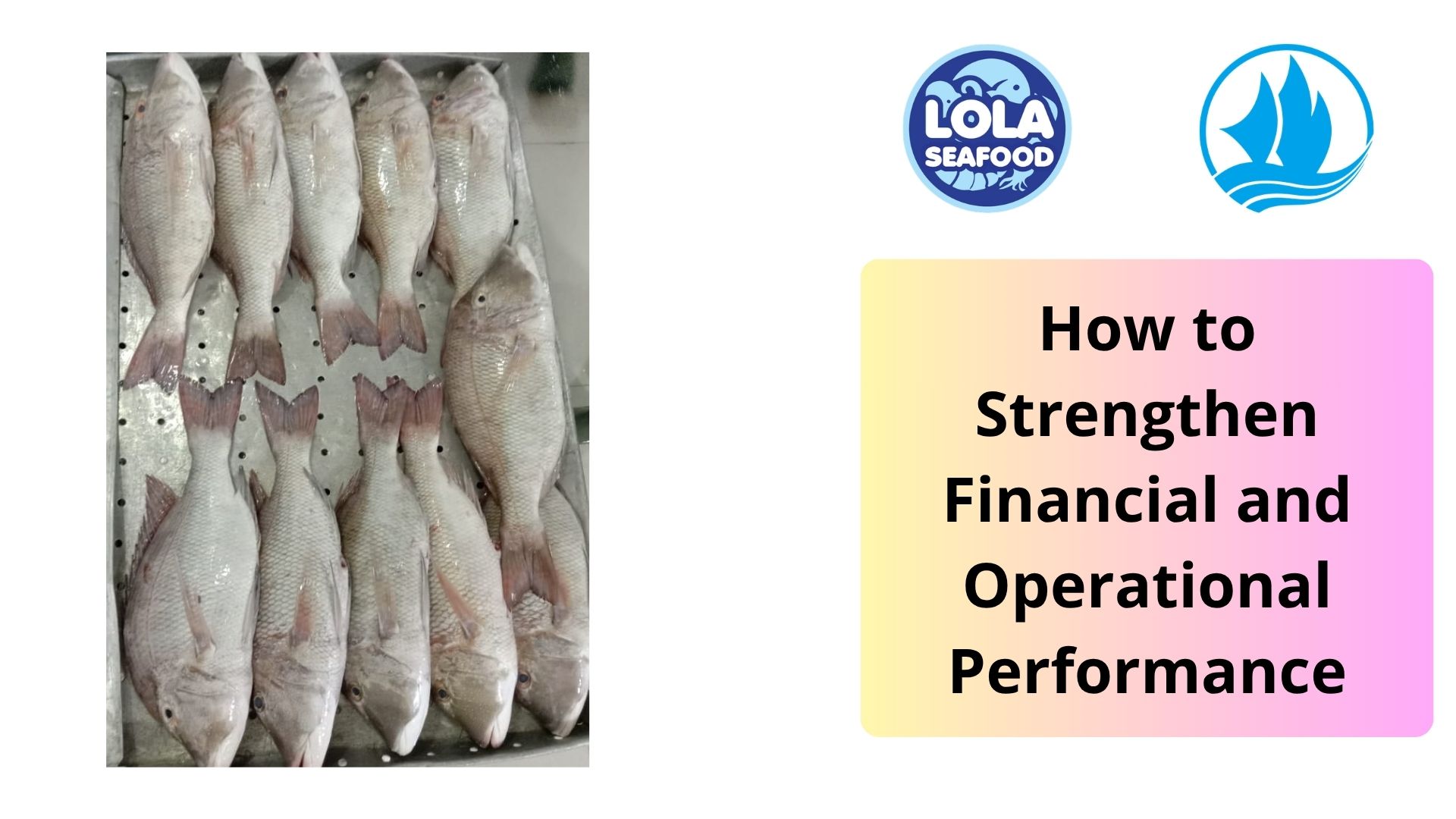  How to Strengthen Financial and Operational Performance
